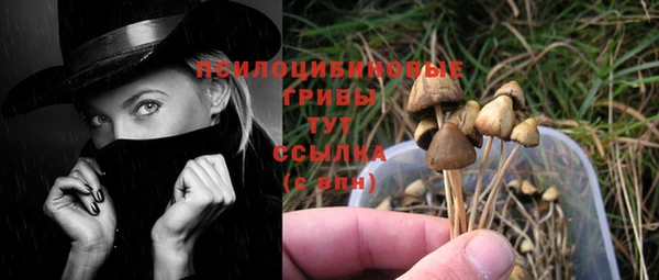 jwh Михайлов