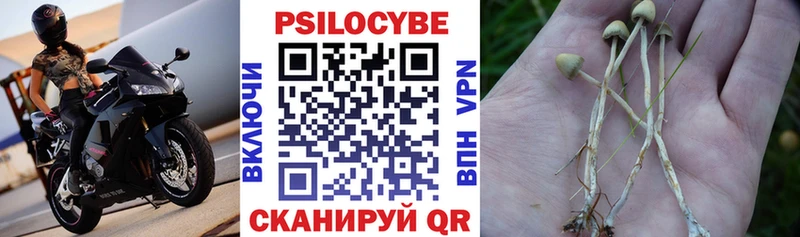 Псилоцибиновые грибы Psilocybe  hydra ссылки  Лиски  купить  
