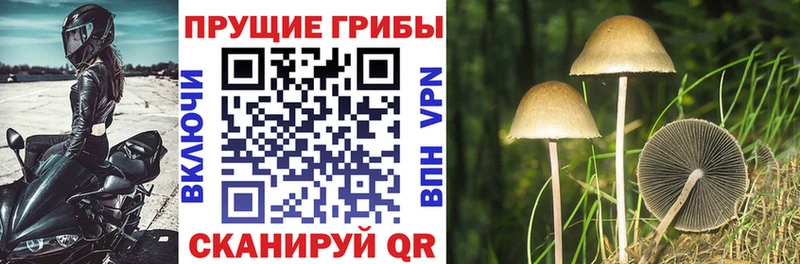 Галлюциногенные грибы GOLDEN TEACHER Лиски