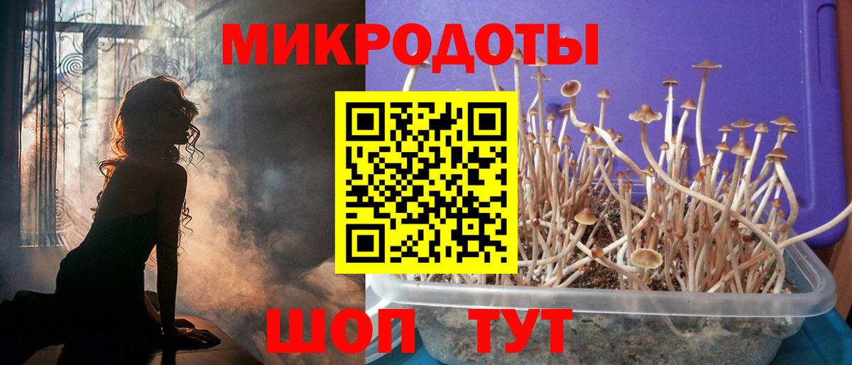 Псилоцибиновые грибы мицелий Лиски